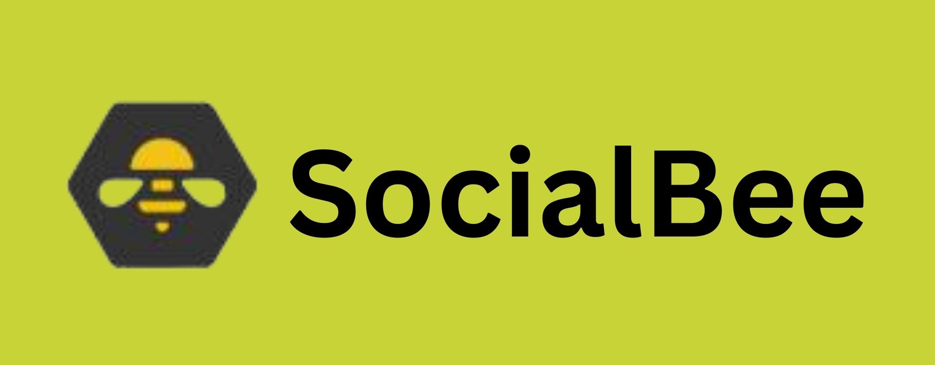 SocialBee